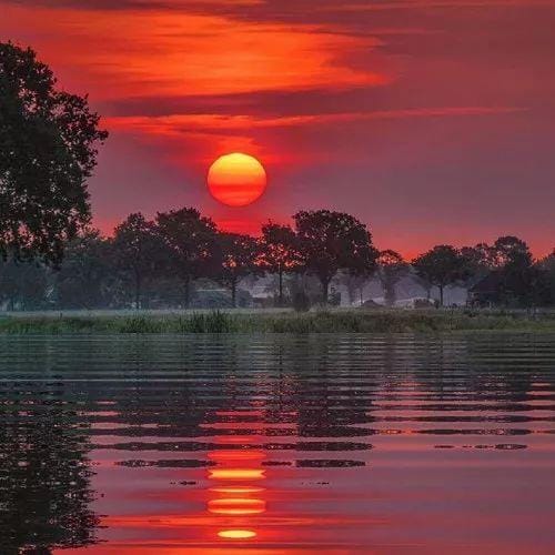 Tono Suherman avatar